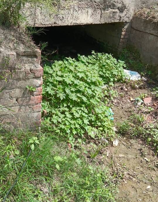 Allegations of fraud in canal cleaning