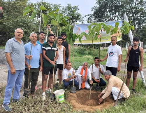 Saplings planted at Rao Tularam Stadium.