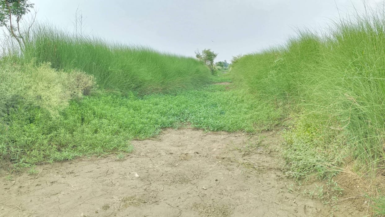 Karmanasha River dries up, eight lift canals stall, farmers in distress.
