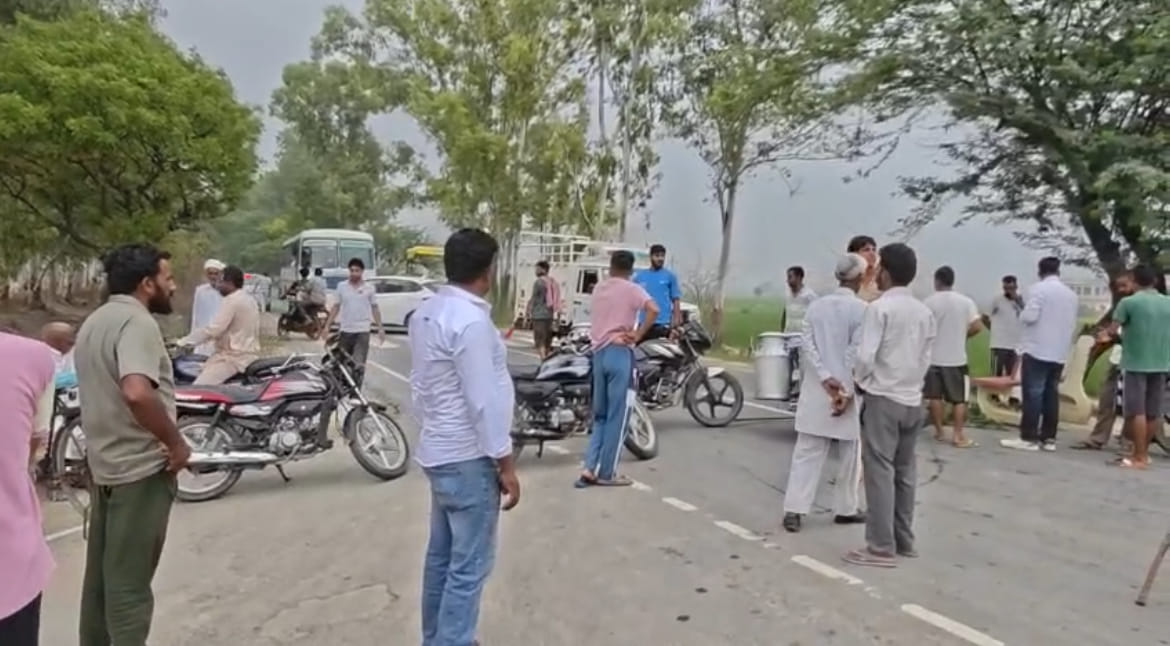 Bull dies of electrocution; villagers block Pundri-Dhand road.