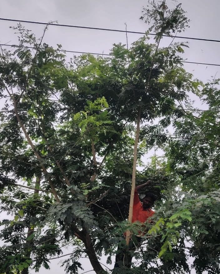 Power supply to 9,000 consumers disrupted due to a fault in the 33 kV line.
