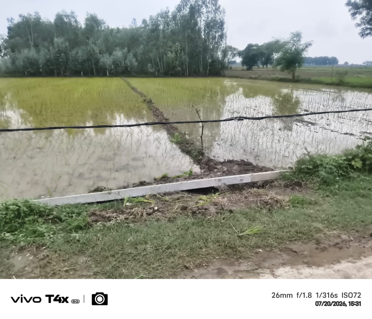 Electricity pole fallen for 10 days, wires hanging