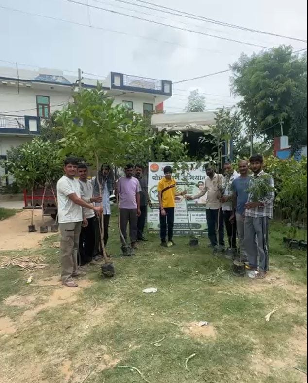 Aryavarta Seva Nyas planted over 3,000 saplings.