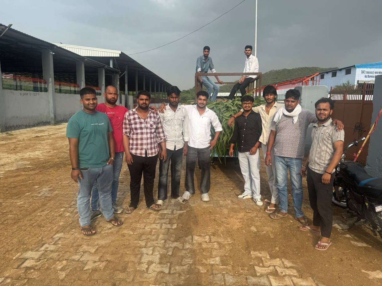 Youths cleaned the cowshed.