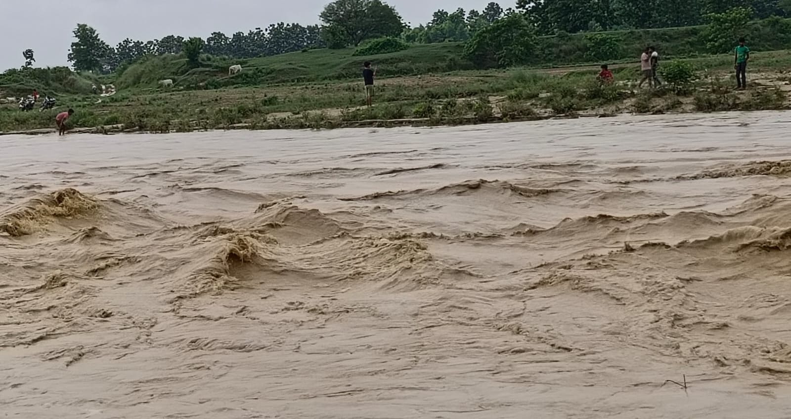 फोटो-23-बलरामपुर के हरैया सतघरवा स्थित खैरहनिया नाले में आया उफान ।-संवाद