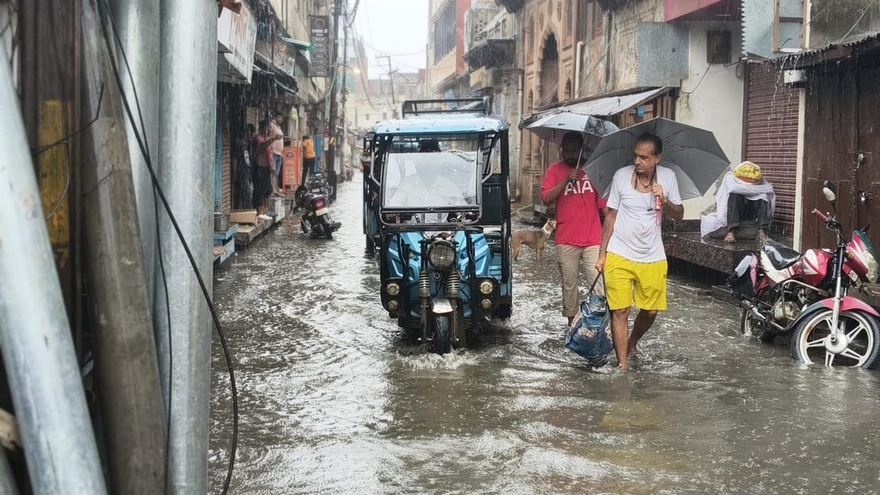 No arrangements for cleanliness or security in Vrindavan