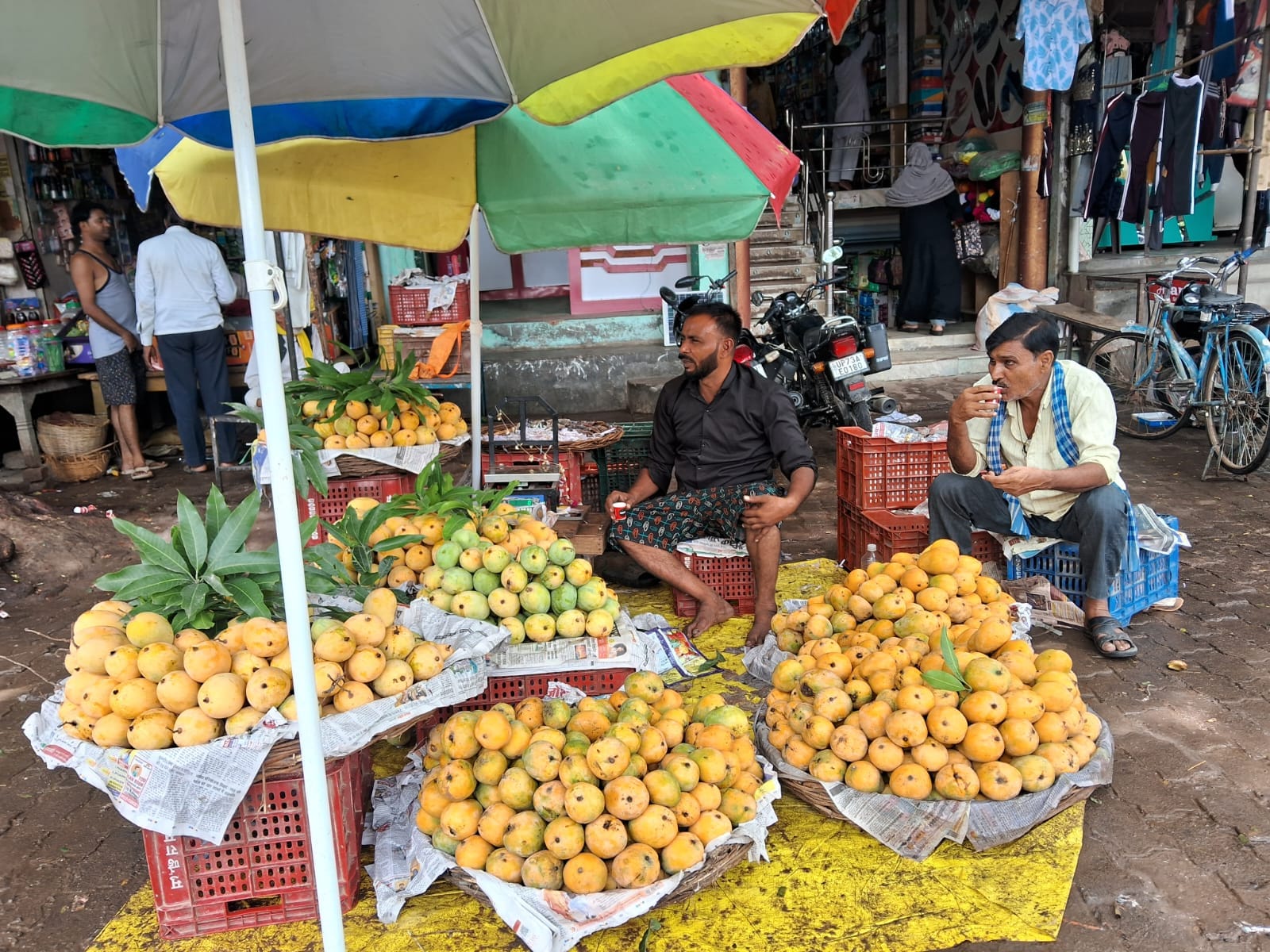 करारी में थालिया में आम बेचते फल विक्रेता-संवाद