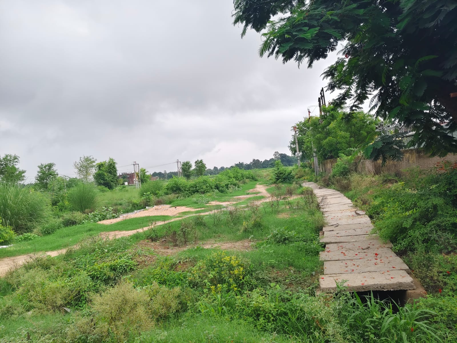 मड़ियाहूं--रोड़वेज बस स्टेशन बनने के लिए चिह्ति जमीन। संवाद