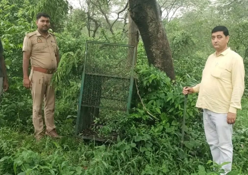 Leopard scare persists; no clue found even after seven days.