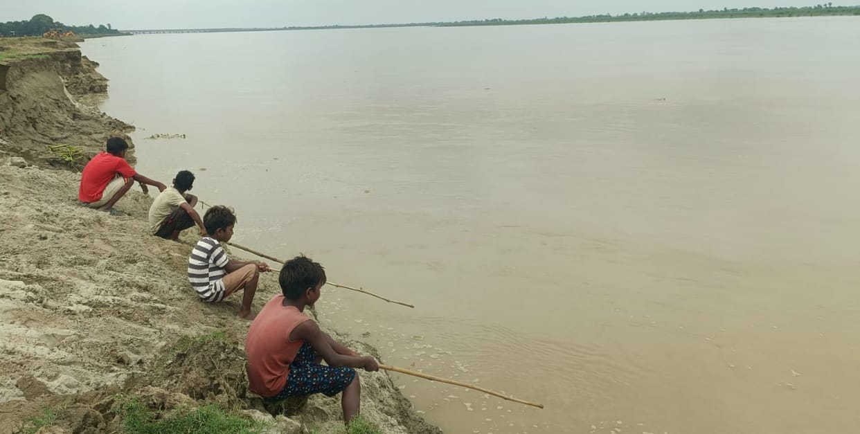 The influx of crocodiles is increasing on the banks of Saryu.