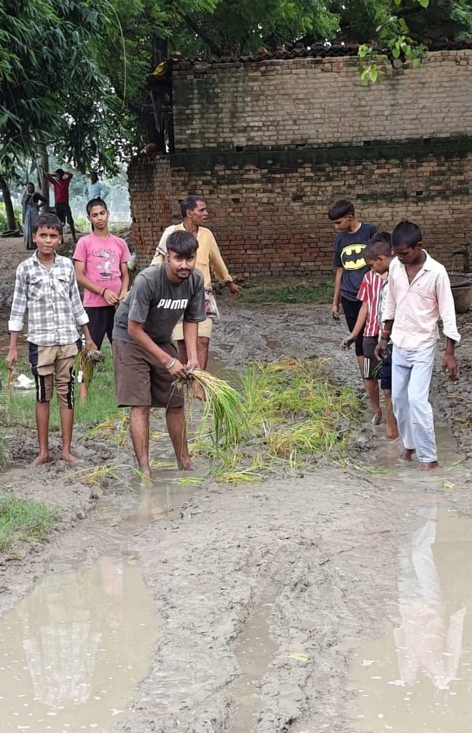 Unpaved road turns into a quagmire; villagers register protest by planting saplings.