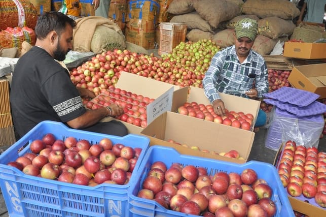 Gala apples dominate the market