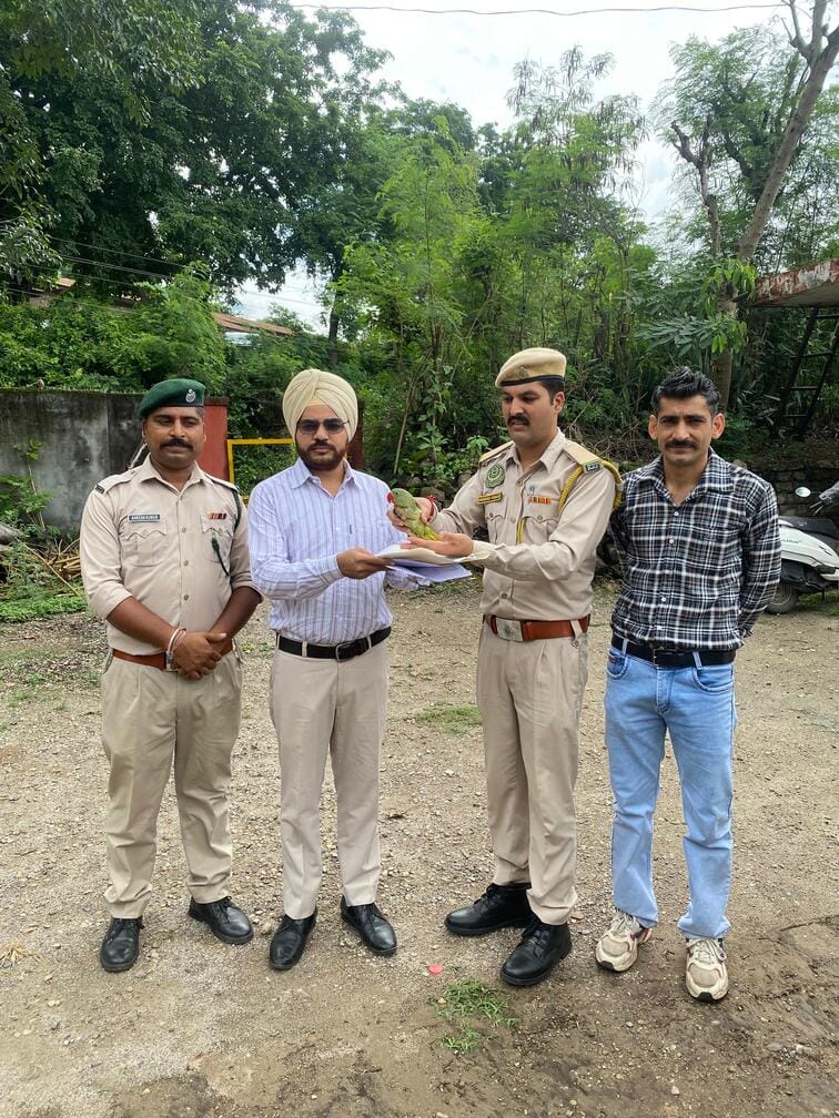 The Forest Department released a captive native parakeet.