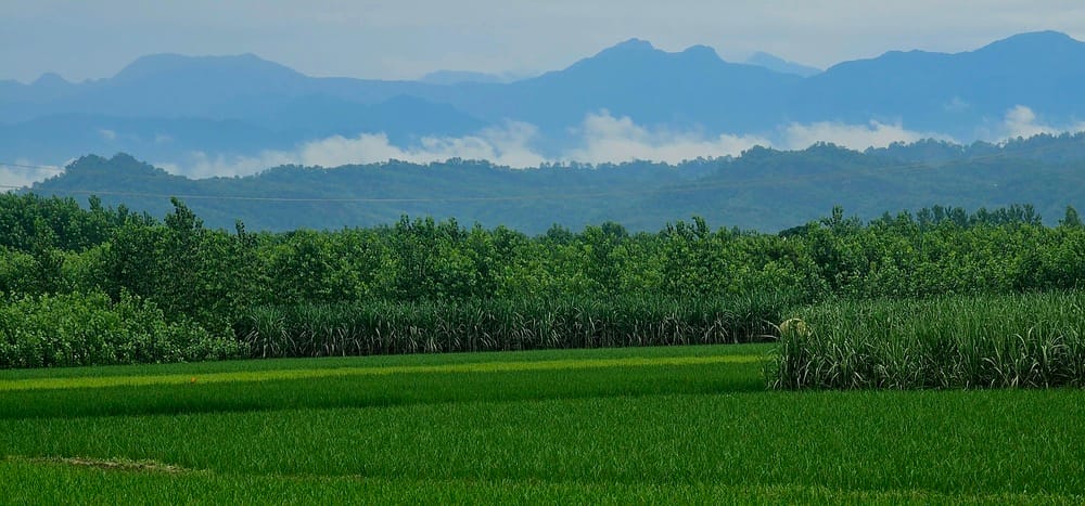 Mountains of Sirmaur, 80 km away, visible from Chhachhrauli