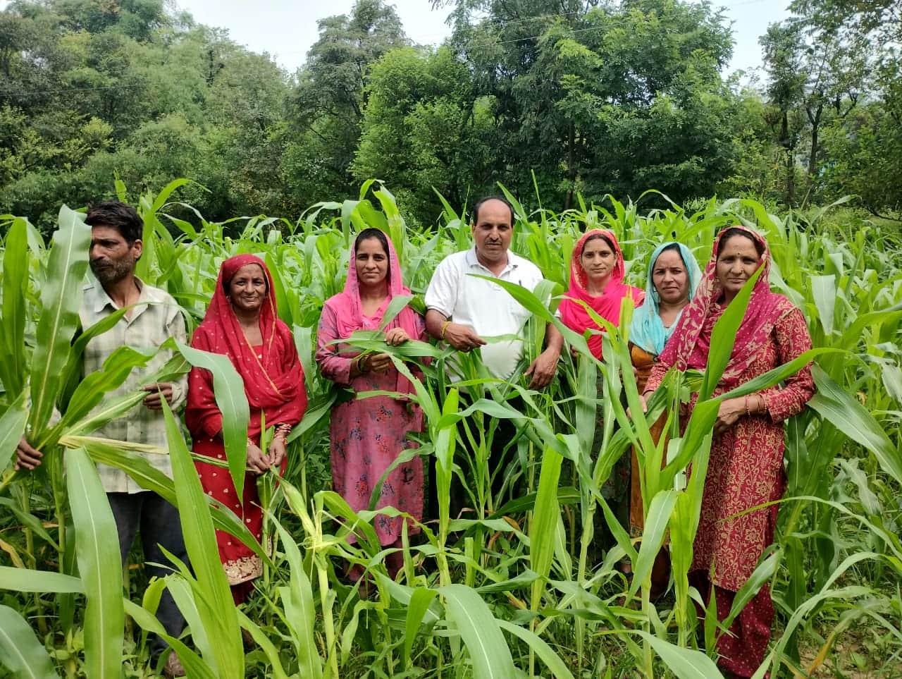 फॉल आर्मी वर्म कीट प्रभावित  खेतों का निरीक्षण करती करती कृषि विभाग की टीम और साथ में ग्रामीण। 