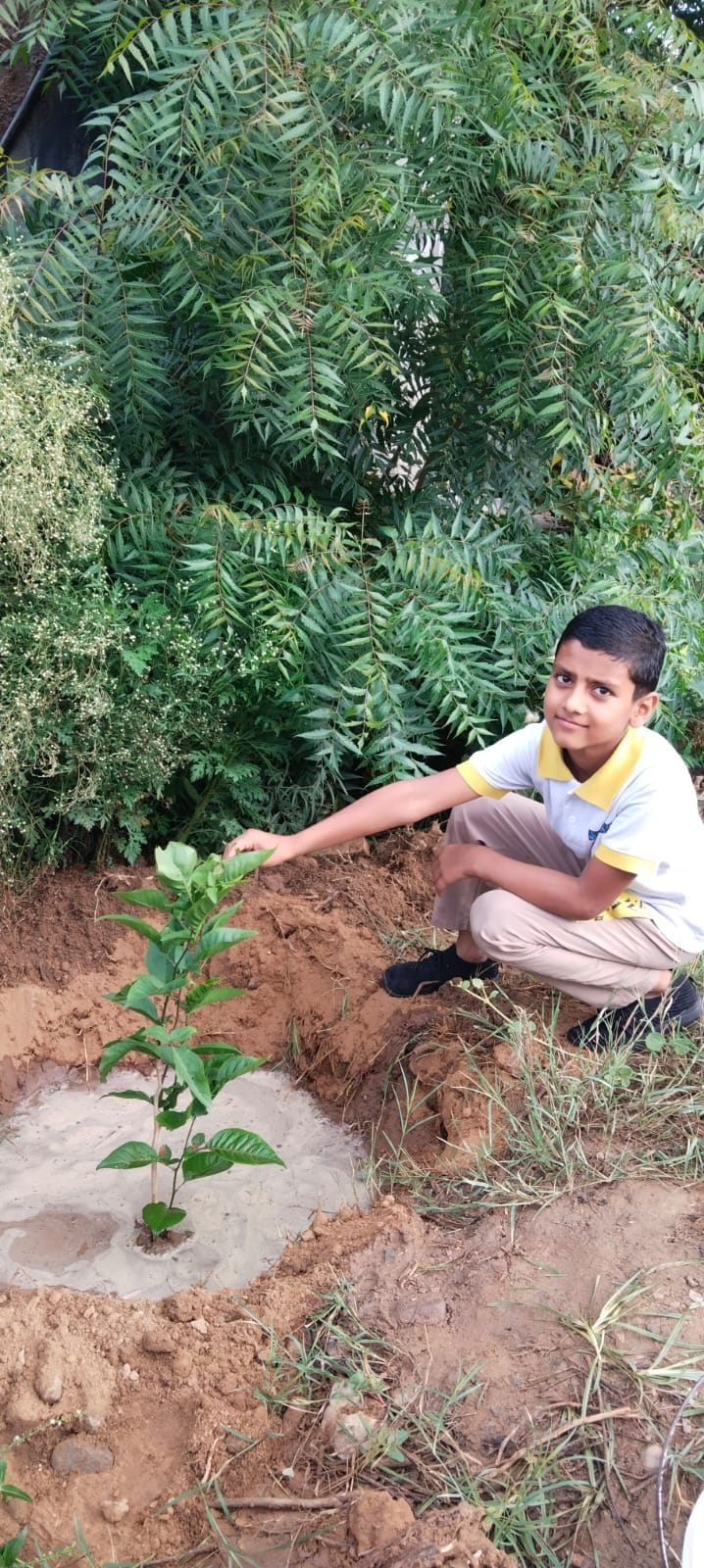 Children tending to plants before going to school.