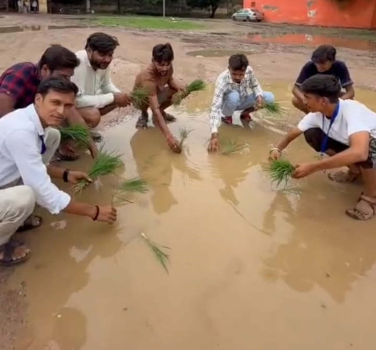 Protest staged by planting paddy in the roadways depot premises.