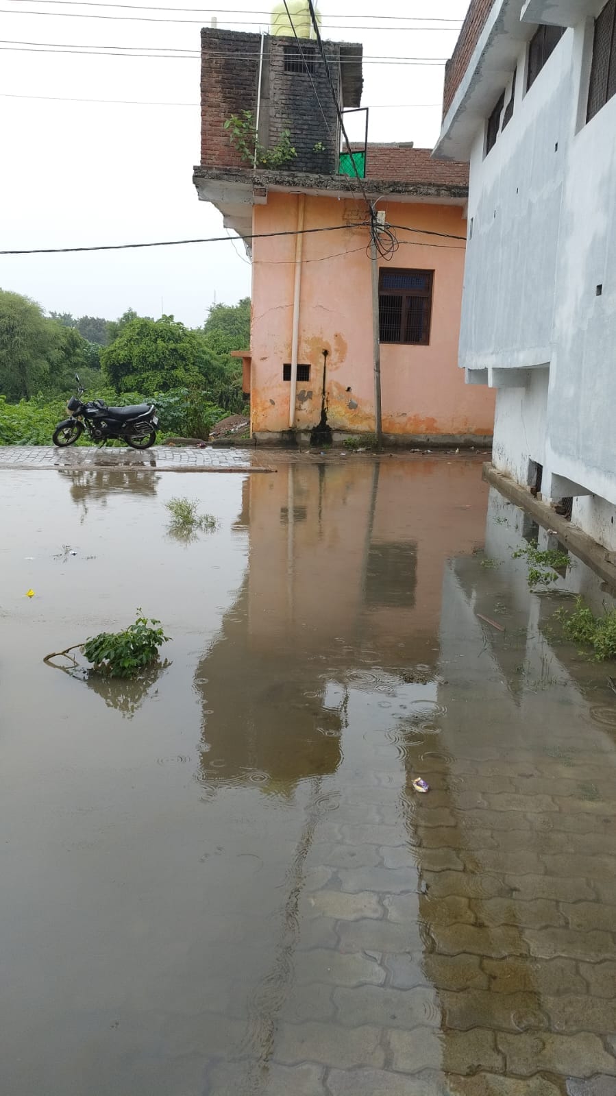 Risk of house collapse due to waterlogging in vacant Risk of house collapse due to waterlogging in vacant plots.plots.