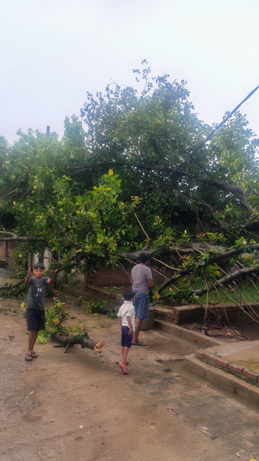 Electricity has been cut off for 48 hours in a population of 6000.