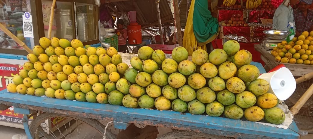 Mangoes become expensive as the season ends, Chausa is priced at Rs 100 and Langra at Rs 120 per kg.