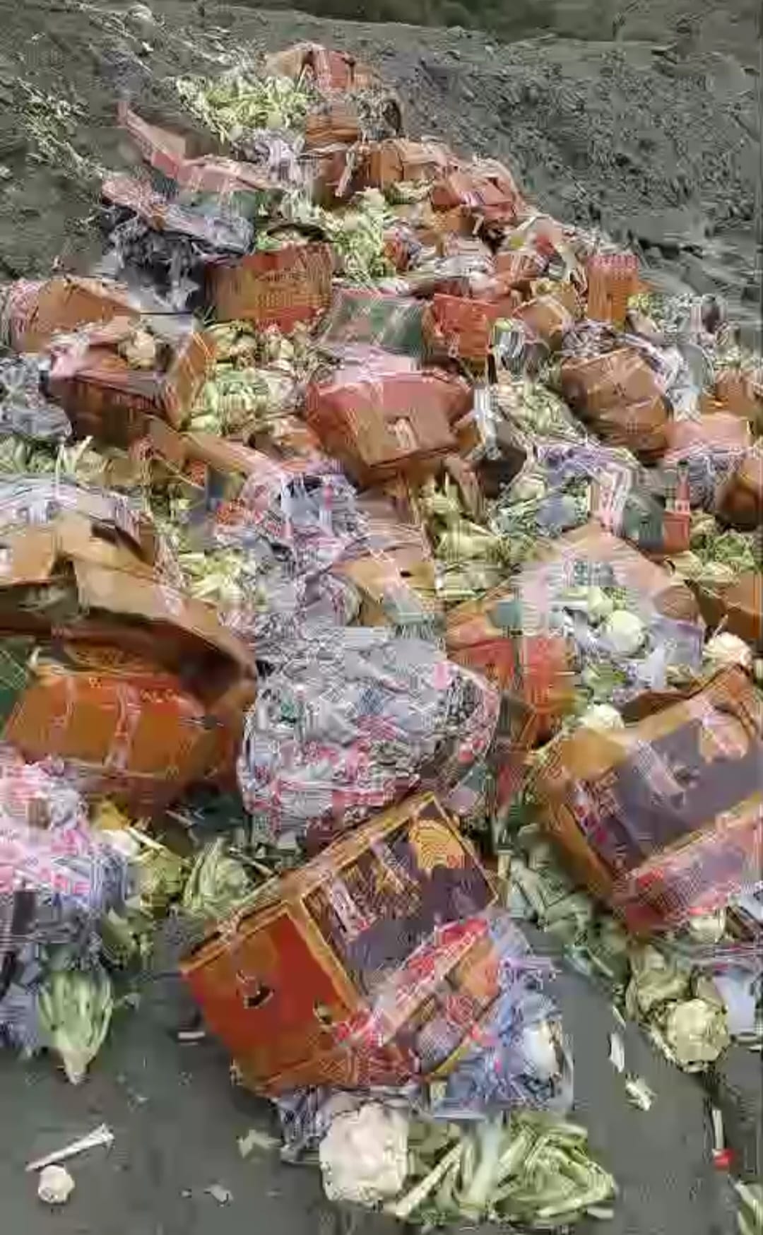 Cauliflower dumped in Jahlma drain, anger among farmers