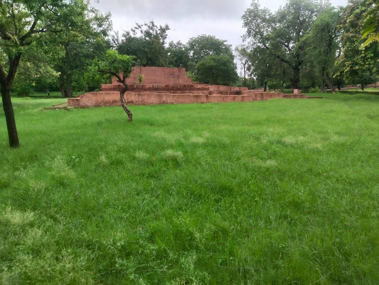 Overgrowth in the Jetavana complex prior to the Vassa (rainy season retreat) worship.