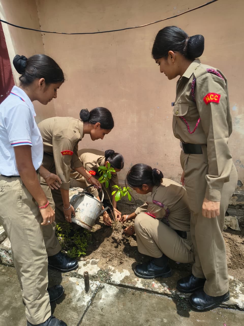 Took a pledge to care for plants after planting them