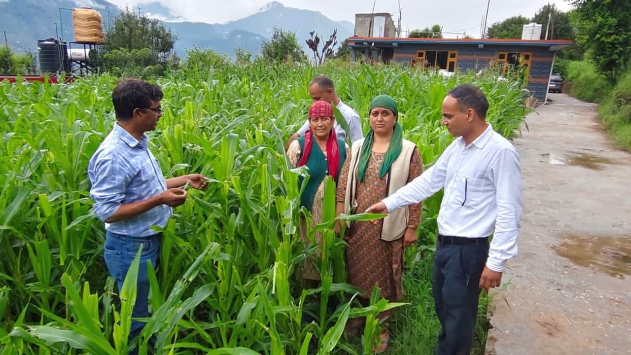 कुल्लू जिला में मक्की की फसल पर फॉल आर्मीवर्म का प्रकोप बढ़ने की संभावना को देखते हुए कृषि विभा