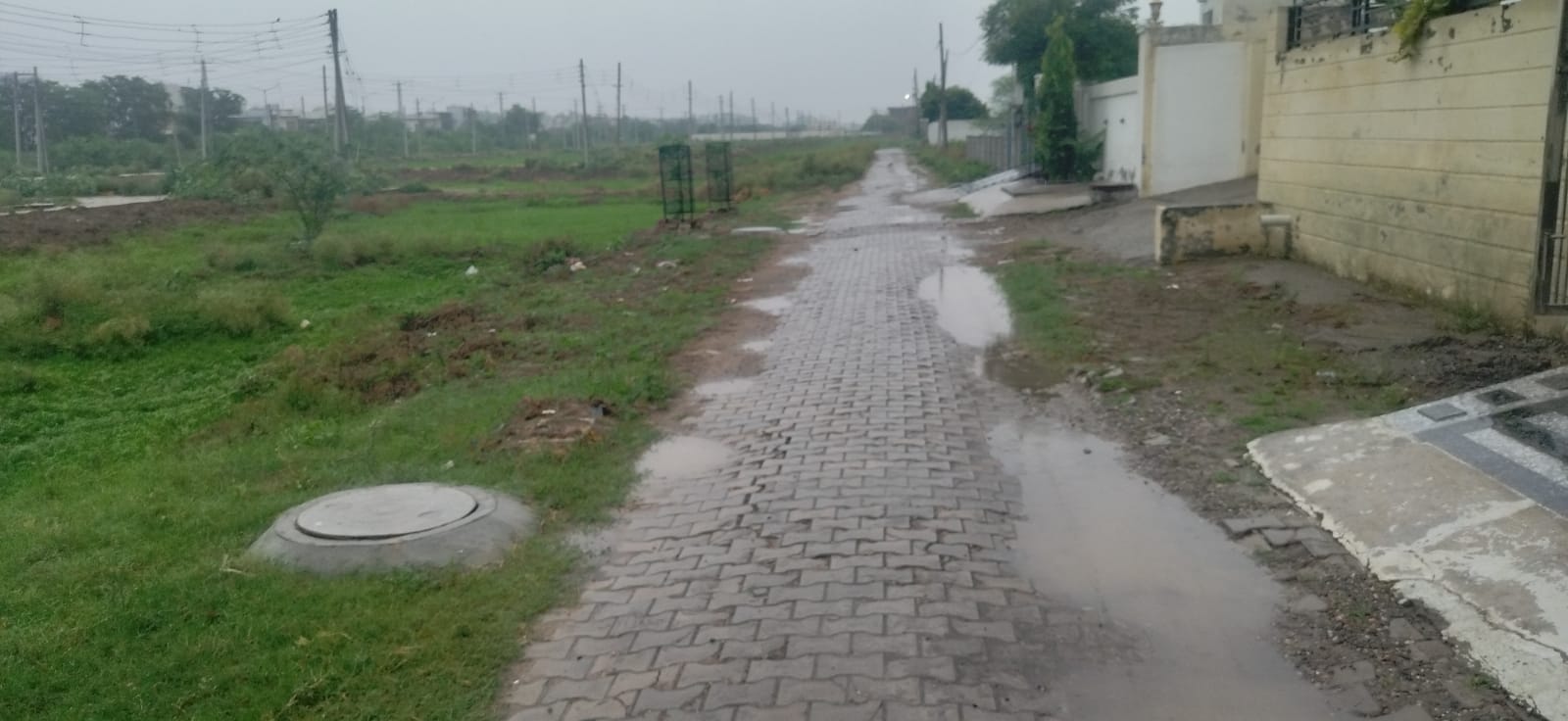 कुरुक्षेत्र में बारिश के बाद बना खुशनुमा मौसम।