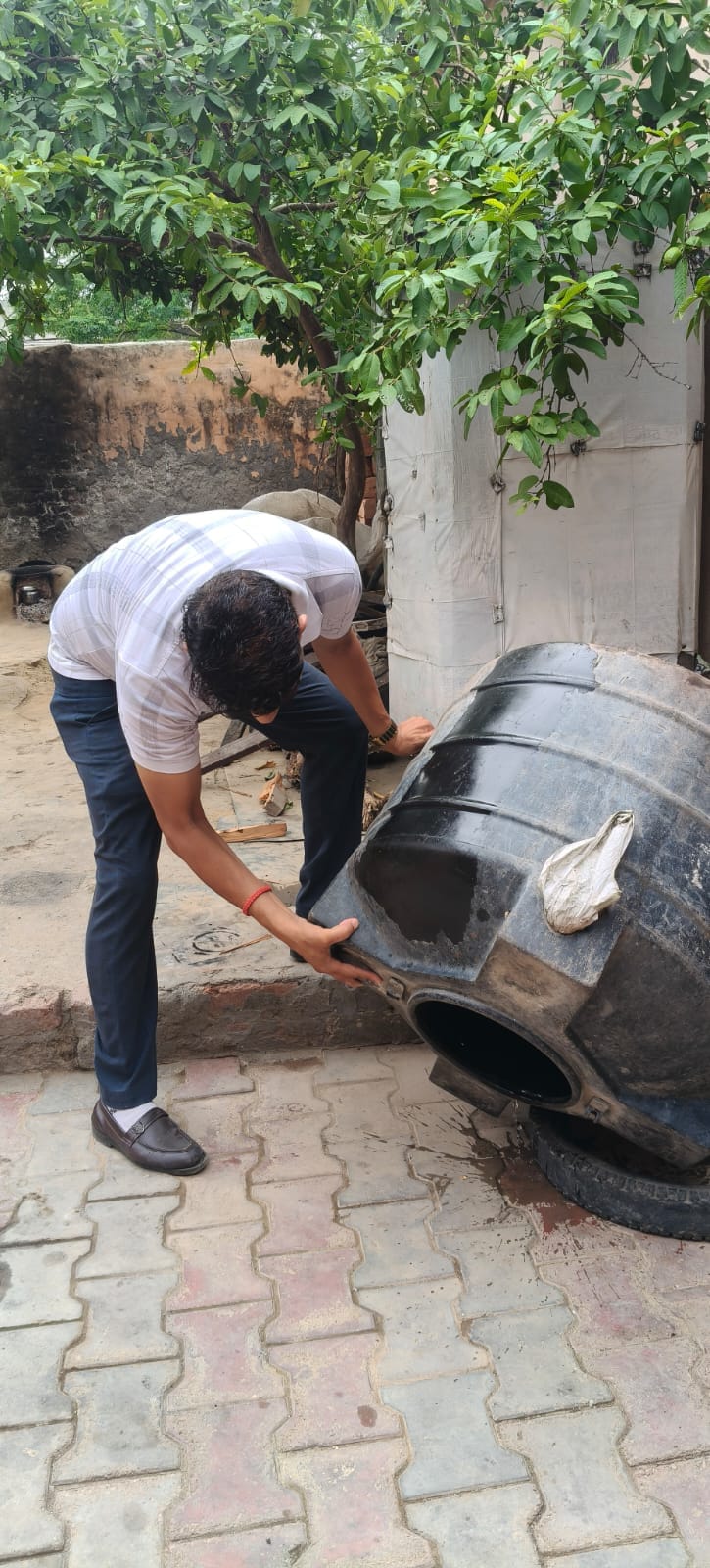 Dengue larvae found in 34 homes; notices issued to 14 people.