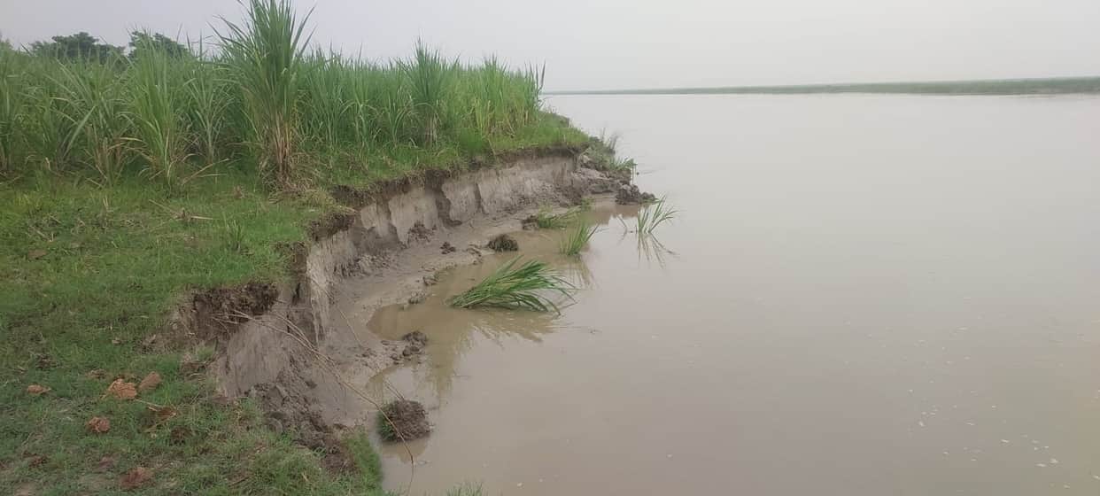 Swollen Saryu 29 cm below danger mark