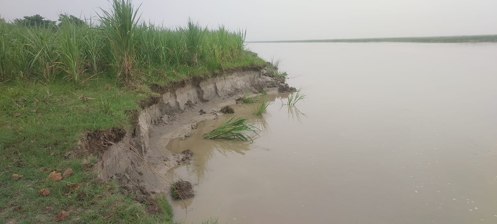 कटान करती सरयू नदी।