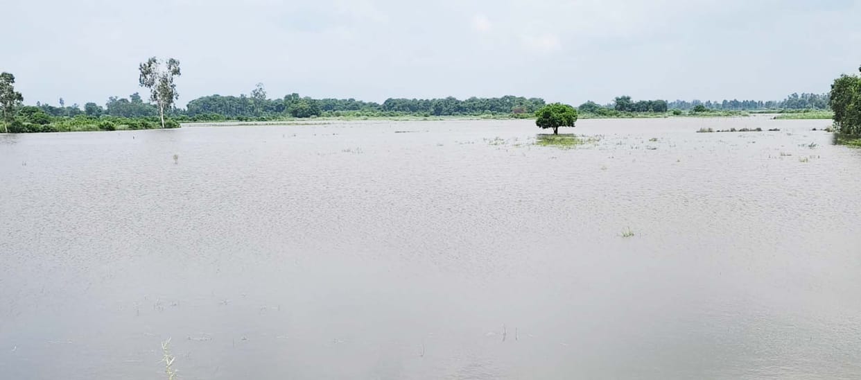 Water entered homes and hundreds of bighas of crops were submerged due to the closure of the culvert.