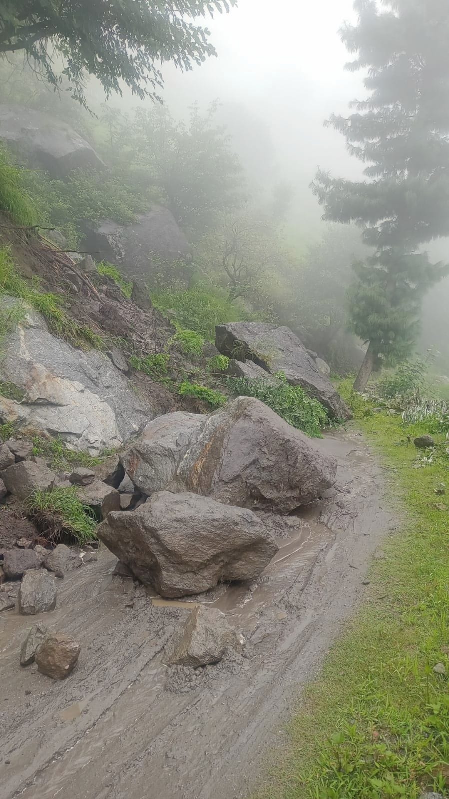 Landslide halts traffic on Chaura-Rupi road