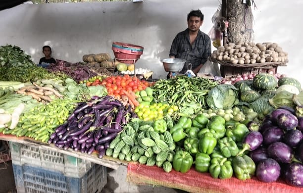 Heavy rains are damaging the fields, preventing the sowing of vegetables.