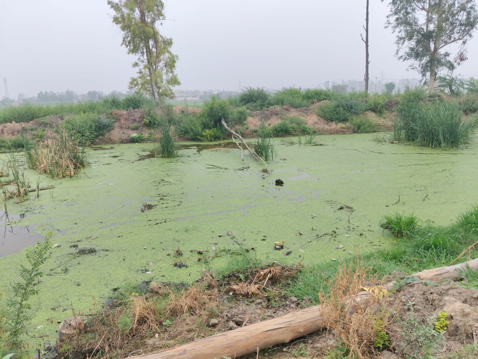 पाई क्षेत्र में जमा हुआ गंदा पानी।