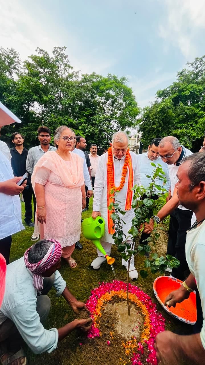More than 100 saplings planted in the park.