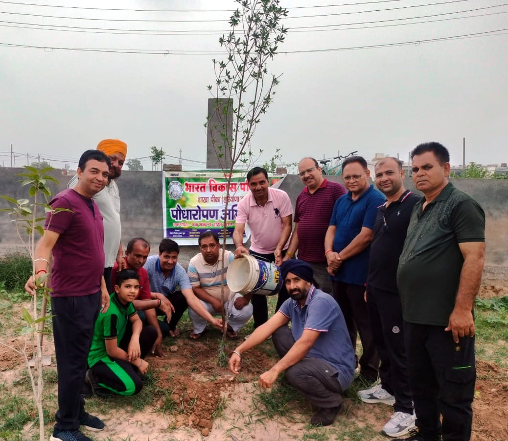 Around 50 plants of various species were planted.