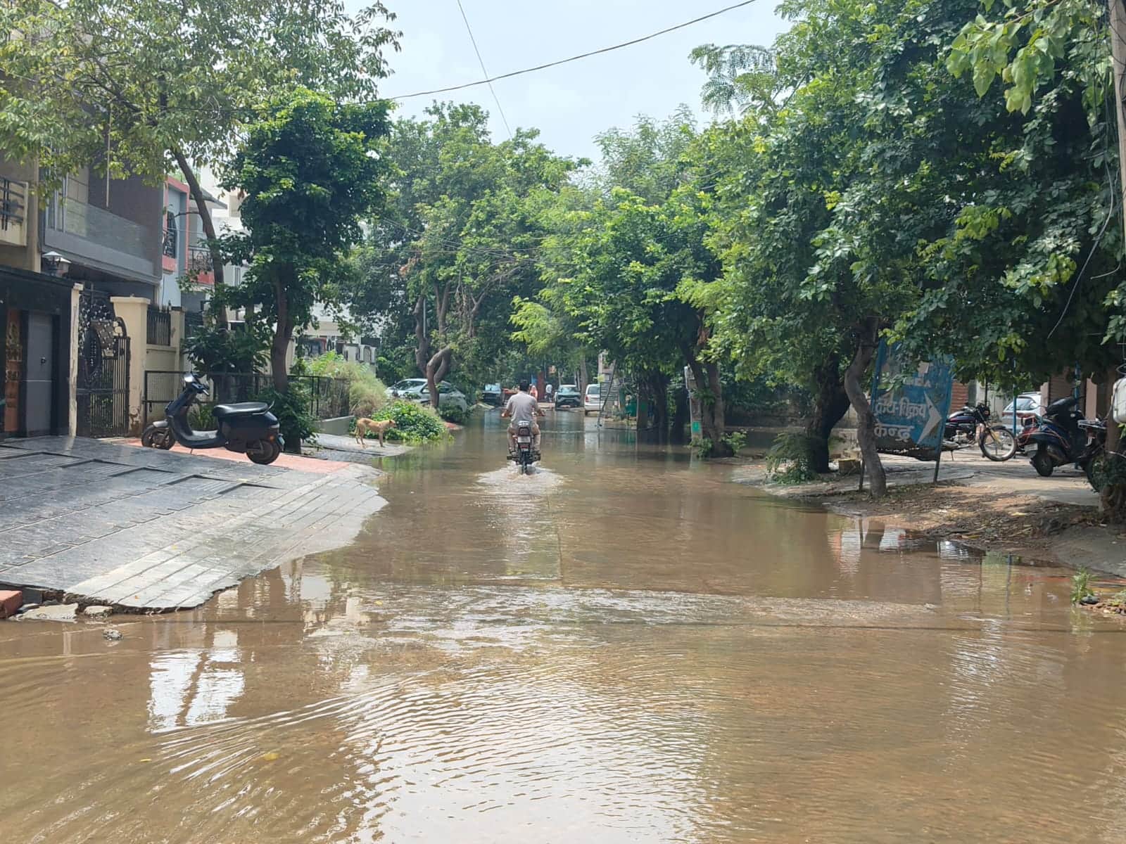 सेक्टर 1 में हुआ जलभराव। संवाद