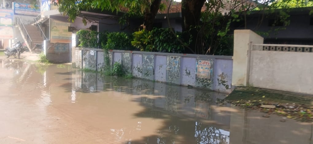 The weather has turned pleasant due to the heavy downpour
