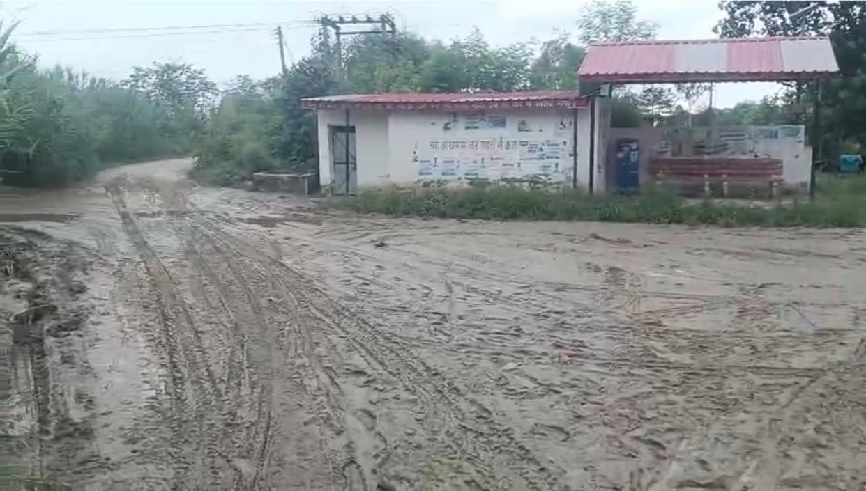 People are suffering financial losses due to waterlogging in fields and residential areas.