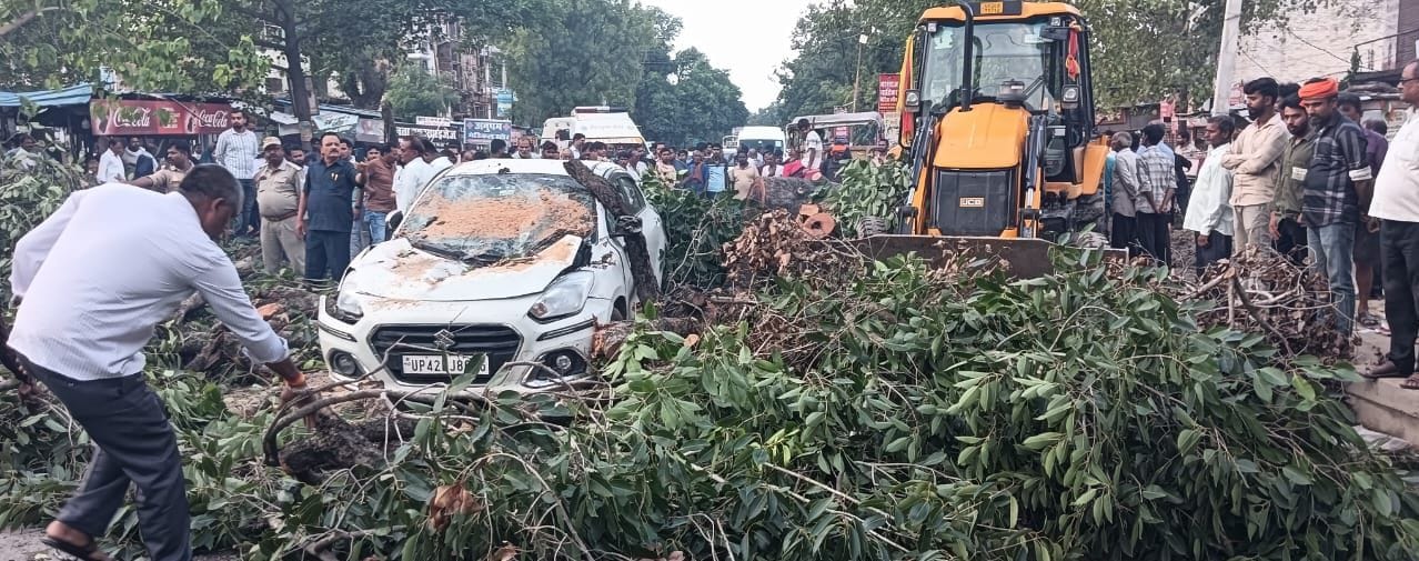 अयोध्या-प्रयागराज हाईवे पर कटका बाजार में कार पर गिरे पेड़ को हटाने पहुंची जेसीबी। स्रोत- ग्राम