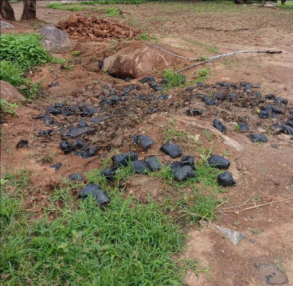 200 dried plants were found thrown on the roadside in Machbandhwa