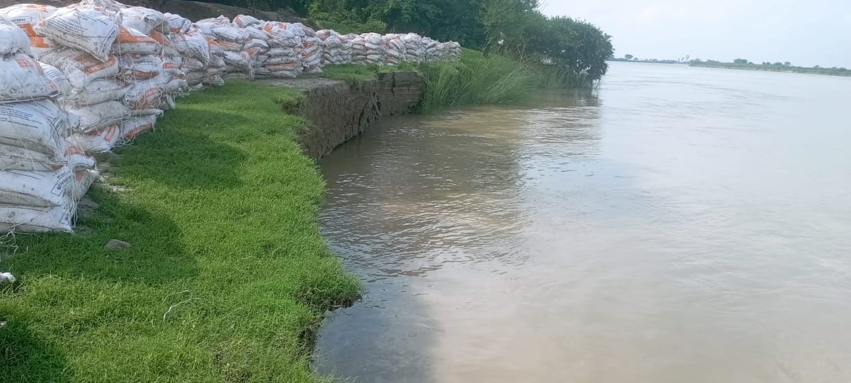 Rising Saryu raises concerns; erosion intensifies near the embankment.