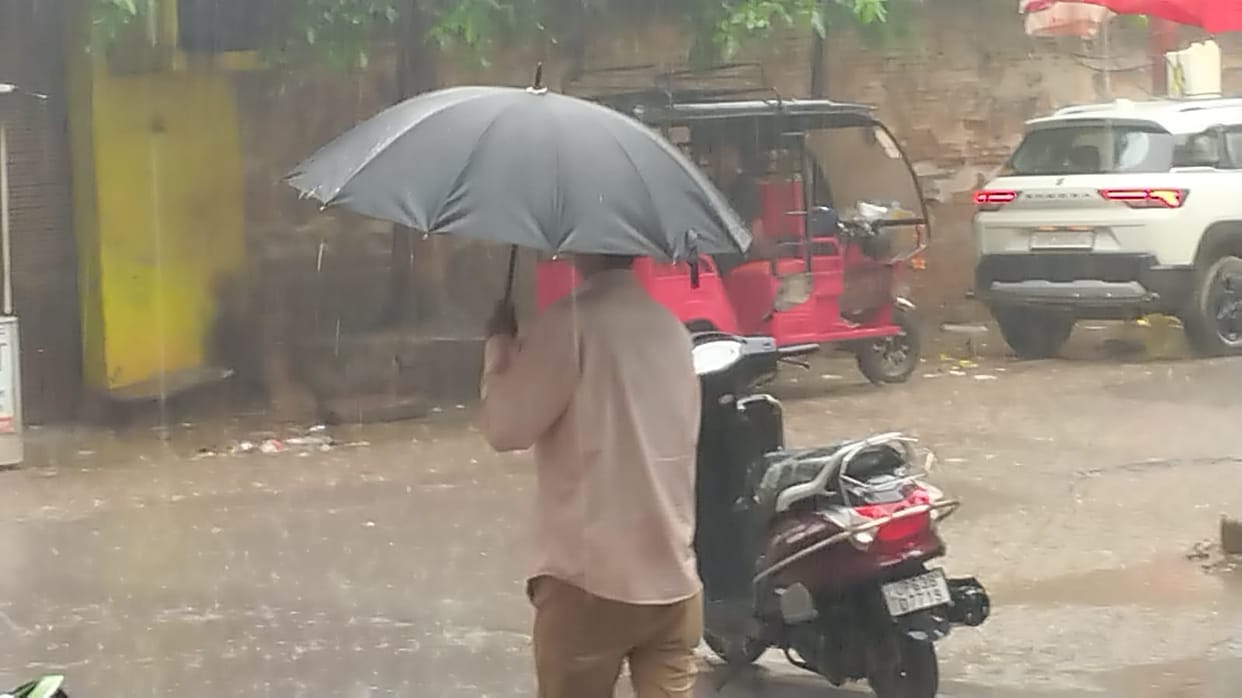 Morning sunshine and humidity caused distress, while evening rain gave fresh momentum to paddy transplantation.