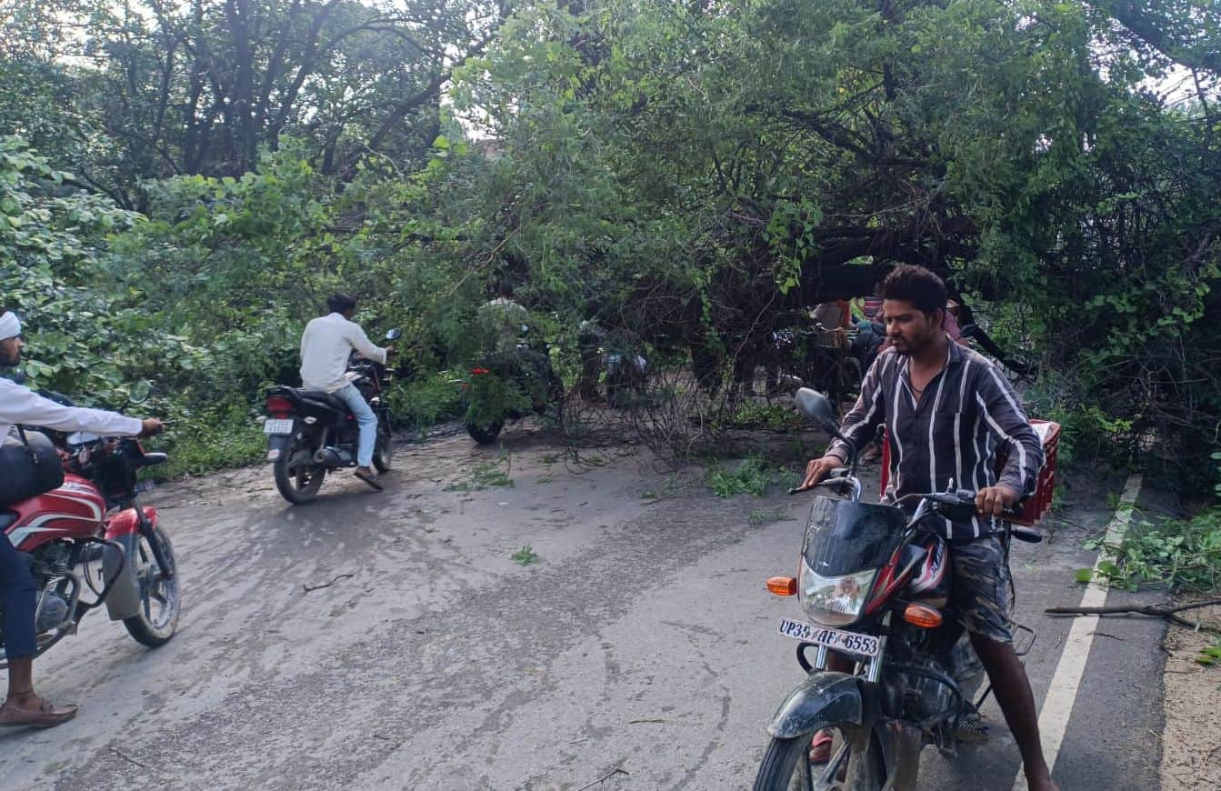 फोटो-5- उन्नाव-हरदोई मार्ग पर गिरा पेड़। स्रोत: पाठक