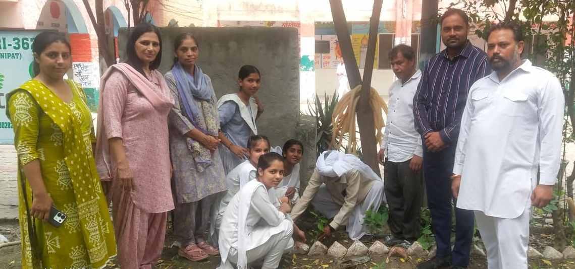 Saplings planted at a government school on the occasion of Chandrashekhar Azad's birth anniversary.