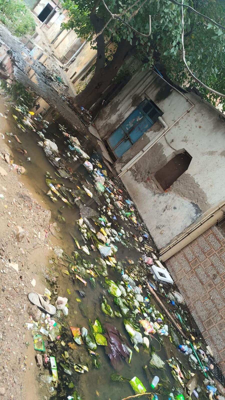 गांव आकेड़ा के रास्ते में भरा गंदा पानी। संवाद