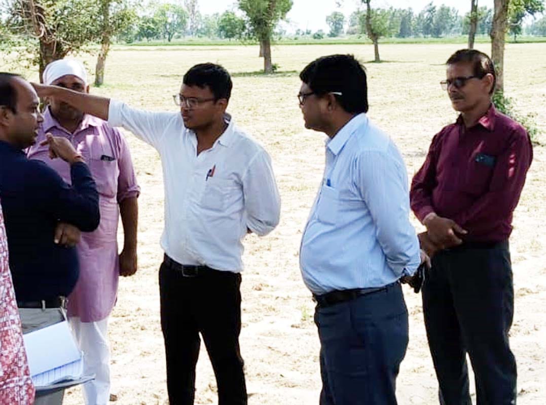 Five new large-scale cow shelters to be built in Maholiya Veeran.