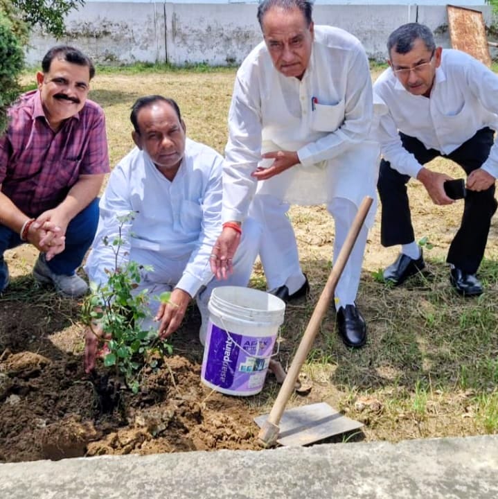 Message of environmental conservation conveyed to female students through tree plantation.